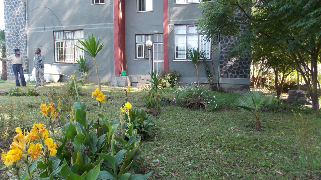Photo of Outdoor in Gondar
