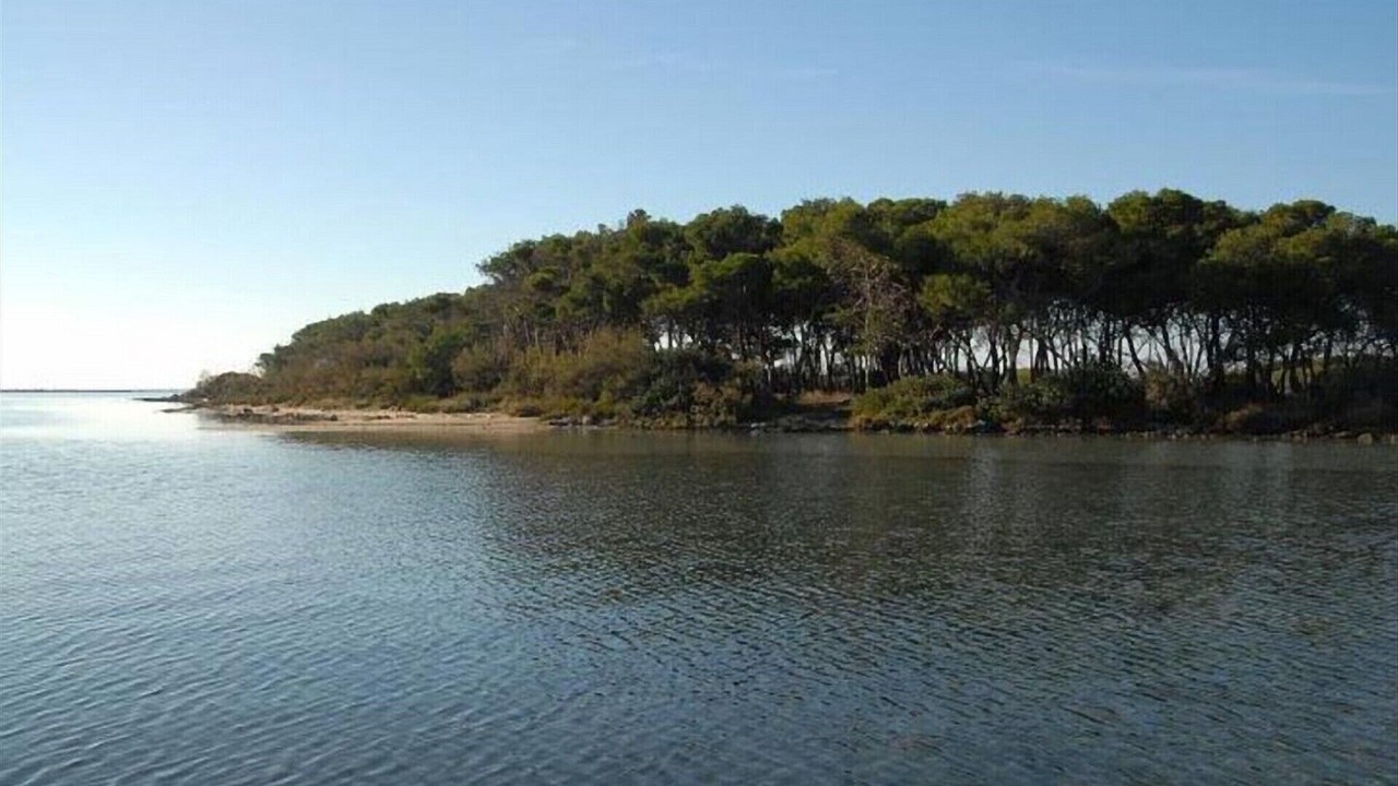 Photo of Others in Torre Lapillo