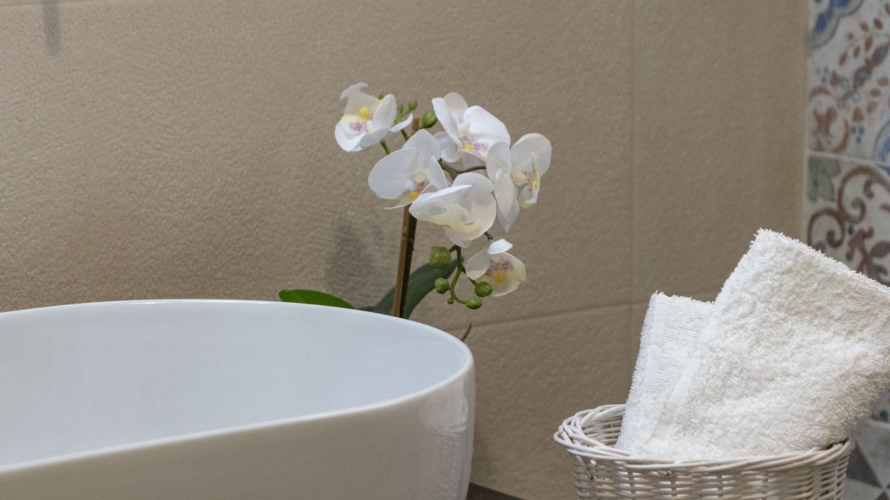 Photo of Bathroom in Impalata