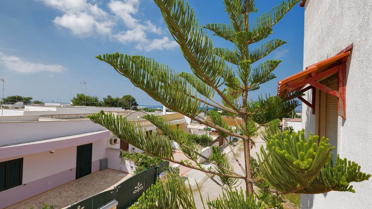 Photo of Outdoor in Posto Rosso
