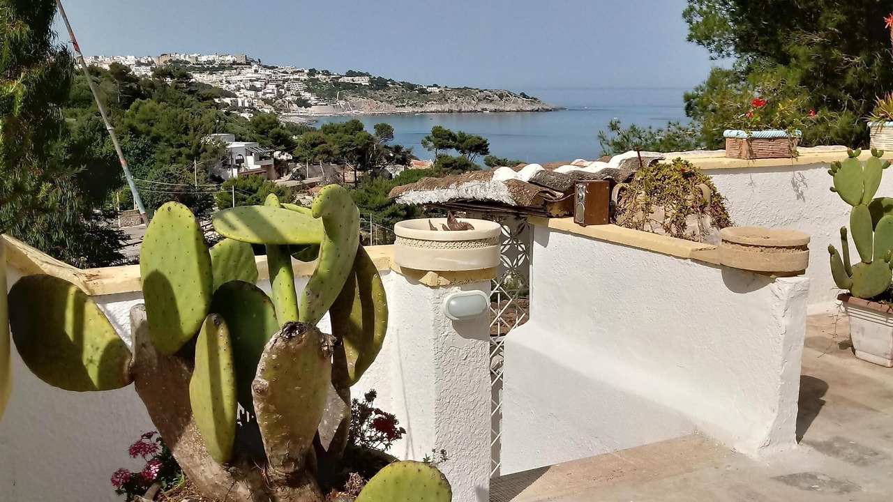 Photo of Outdoor in Marina di Marittima
