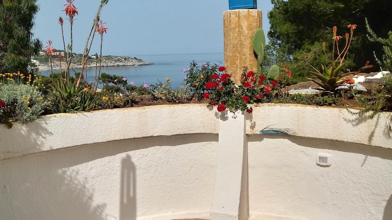 Photo of Outdoor in Marina di Marittima
