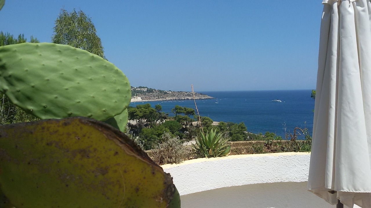 Photo of Outdoor in Marina di Marittima