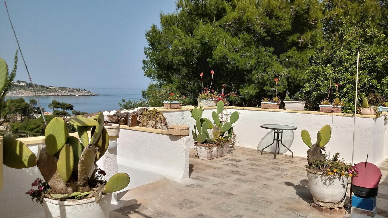 Photo of Outdoor in Marina di Marittima