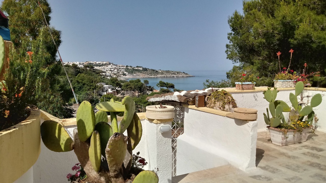 Photo of Outdoor in Marina di Marittima