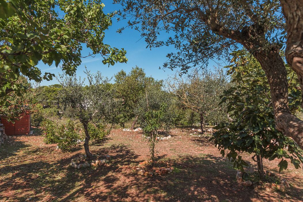 Photo of Outdoor in Laureto