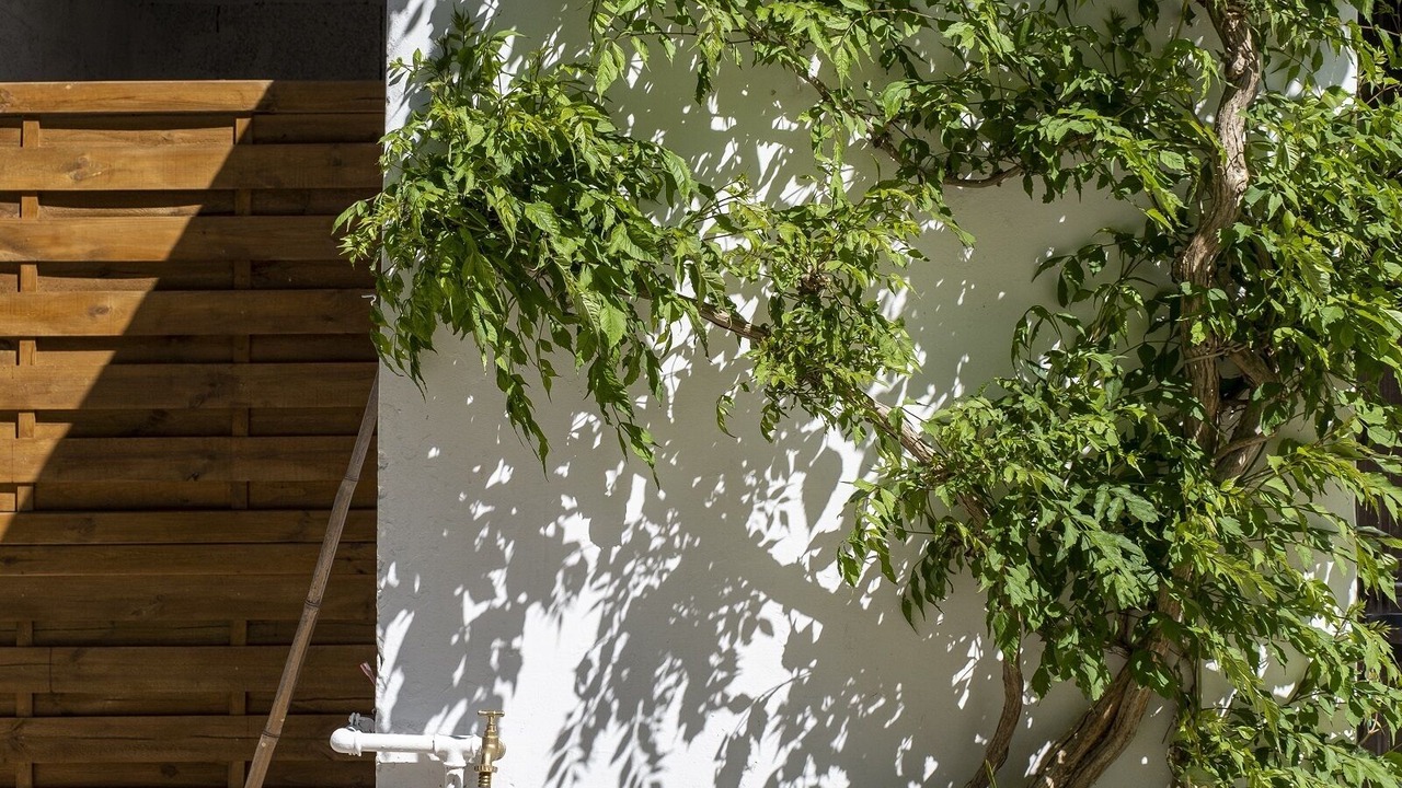 Photo of Outdoor in L'Assunta