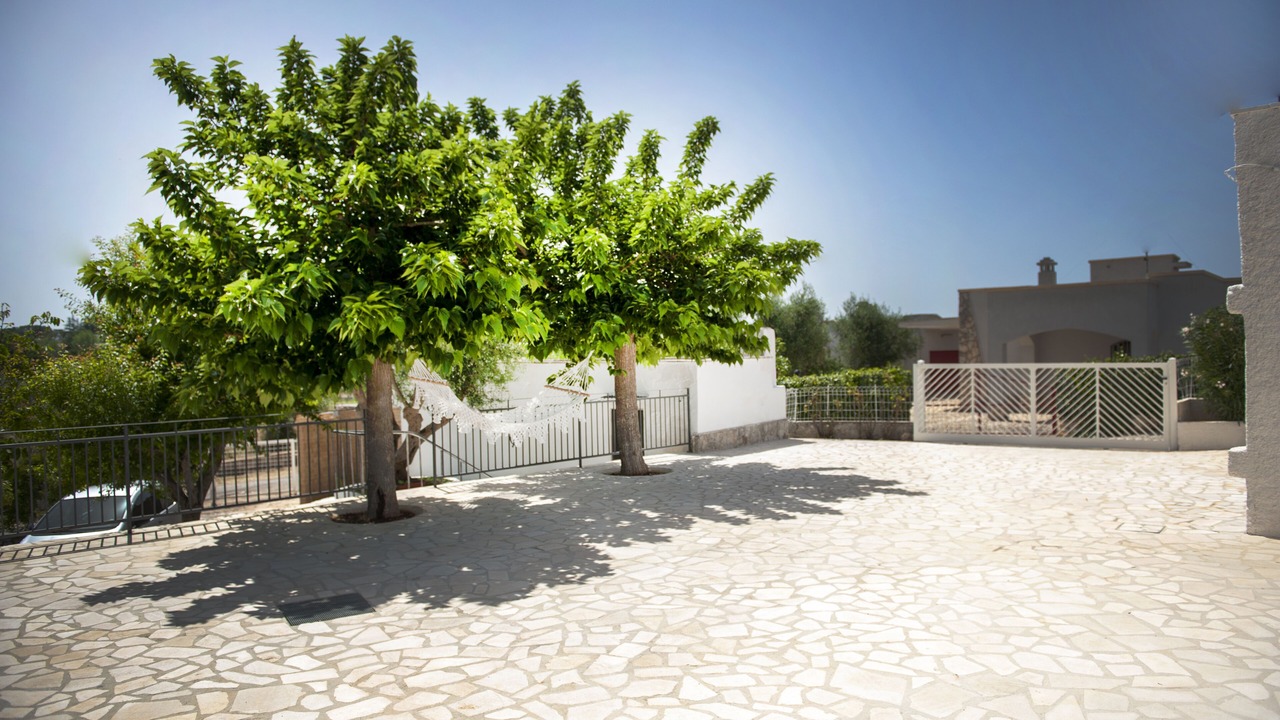 Photo of Outdoor in Selva di Fasano
