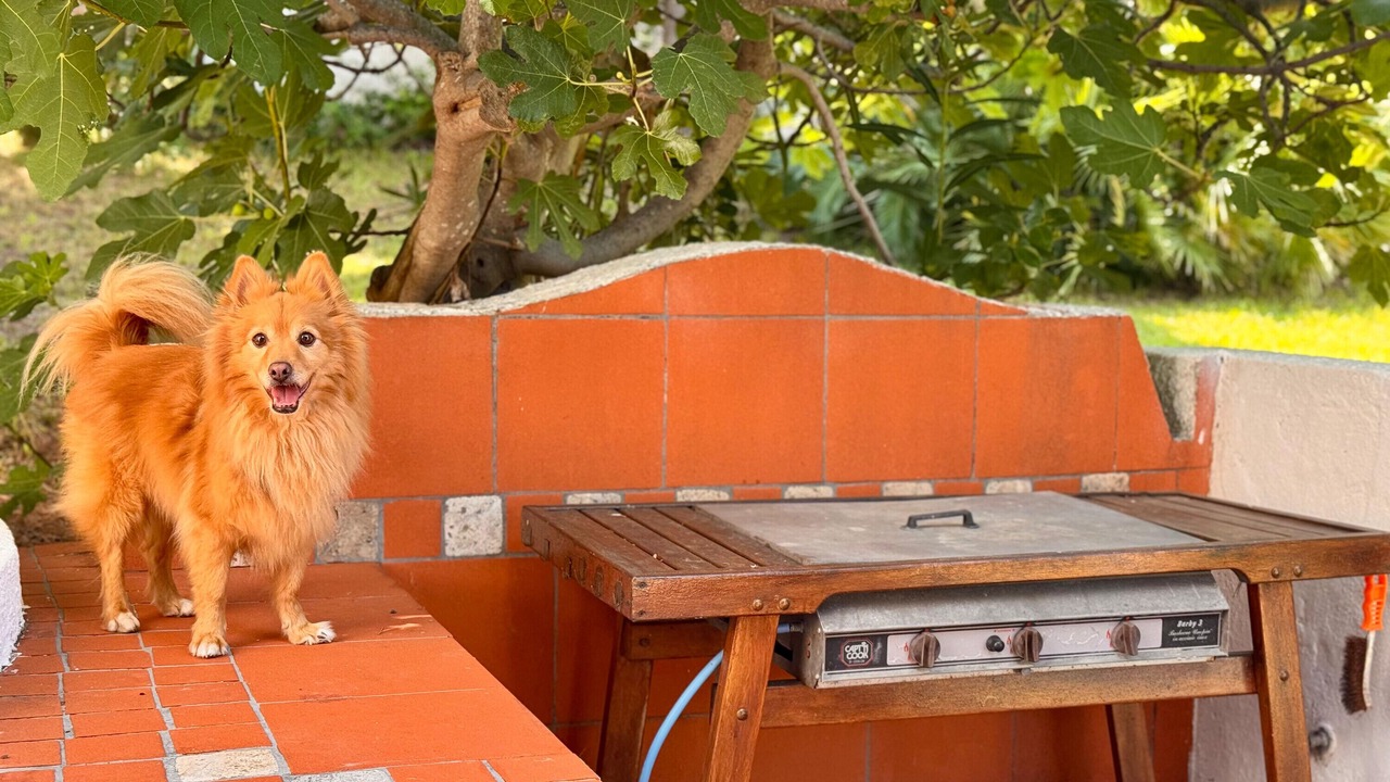 Photo of Outdoor in Peschici