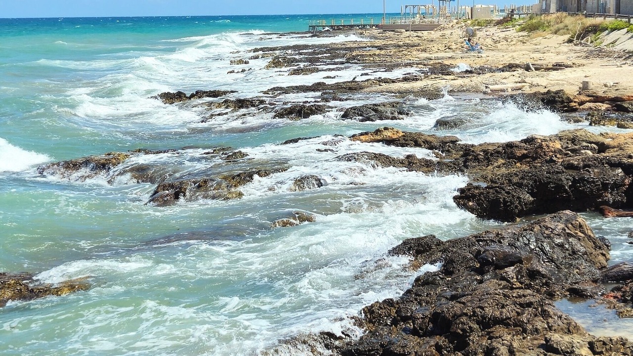 Photo of Others in Cozze