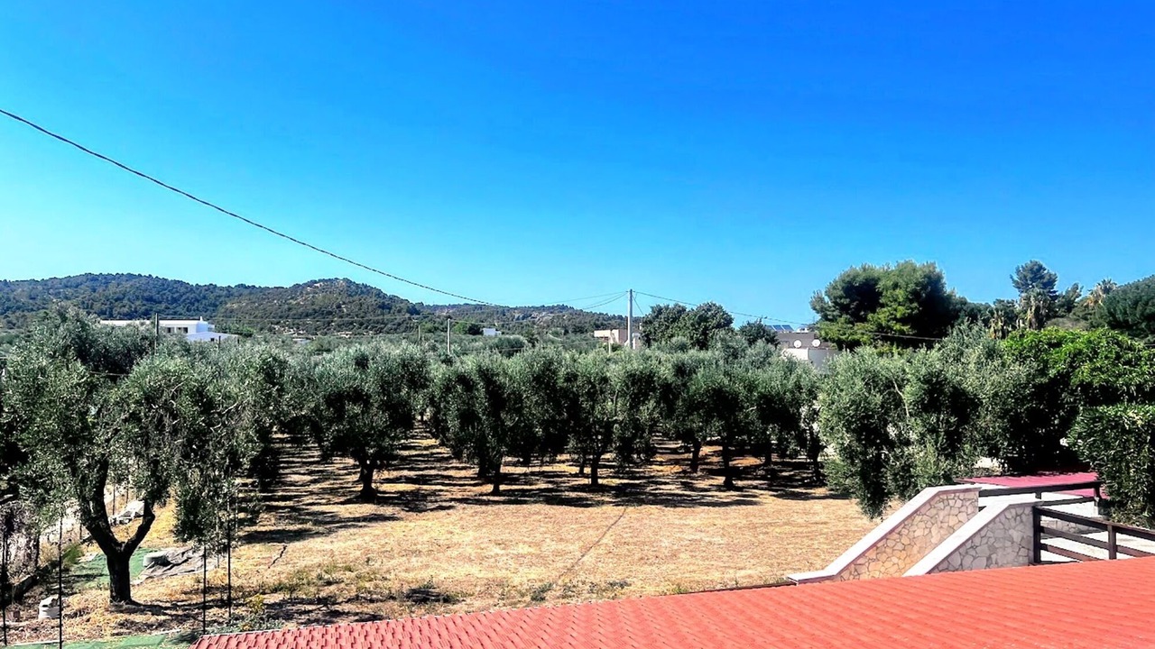 Photo of Others in Montincello
