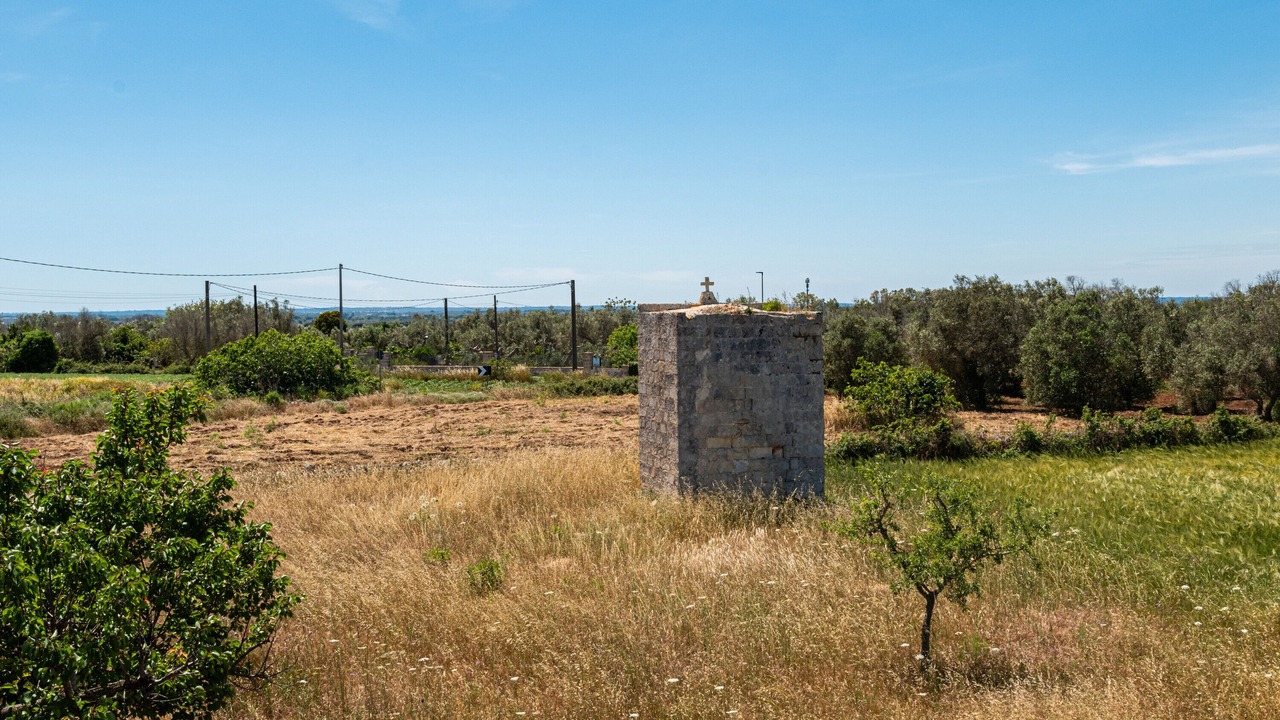 Photo of Others in Vitigliano