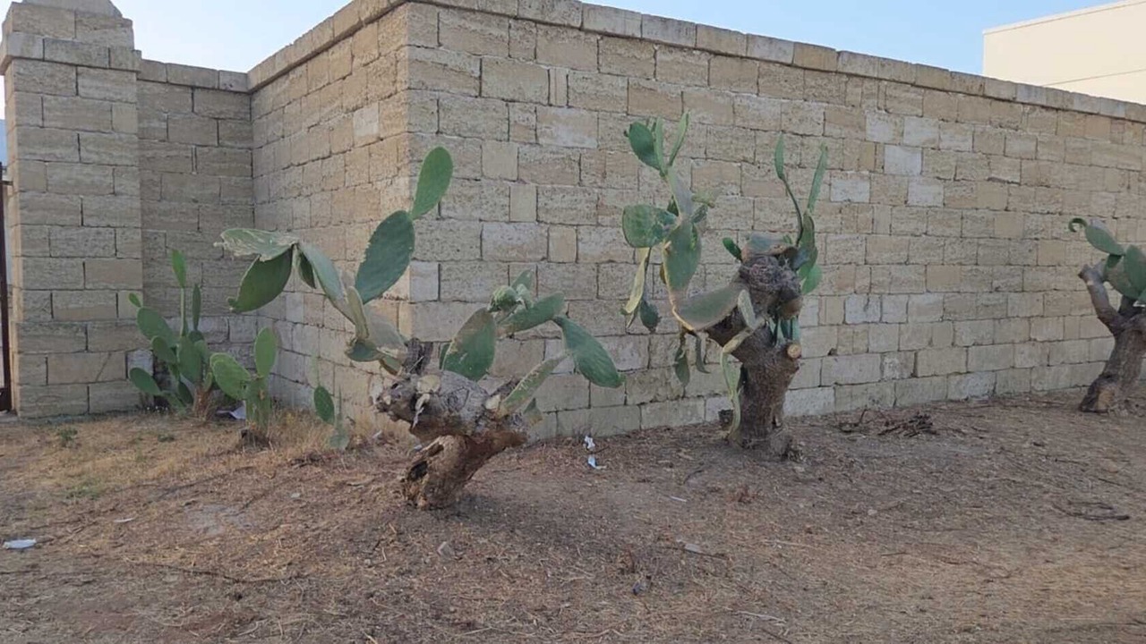 Photo of Outdoor in Scorrano