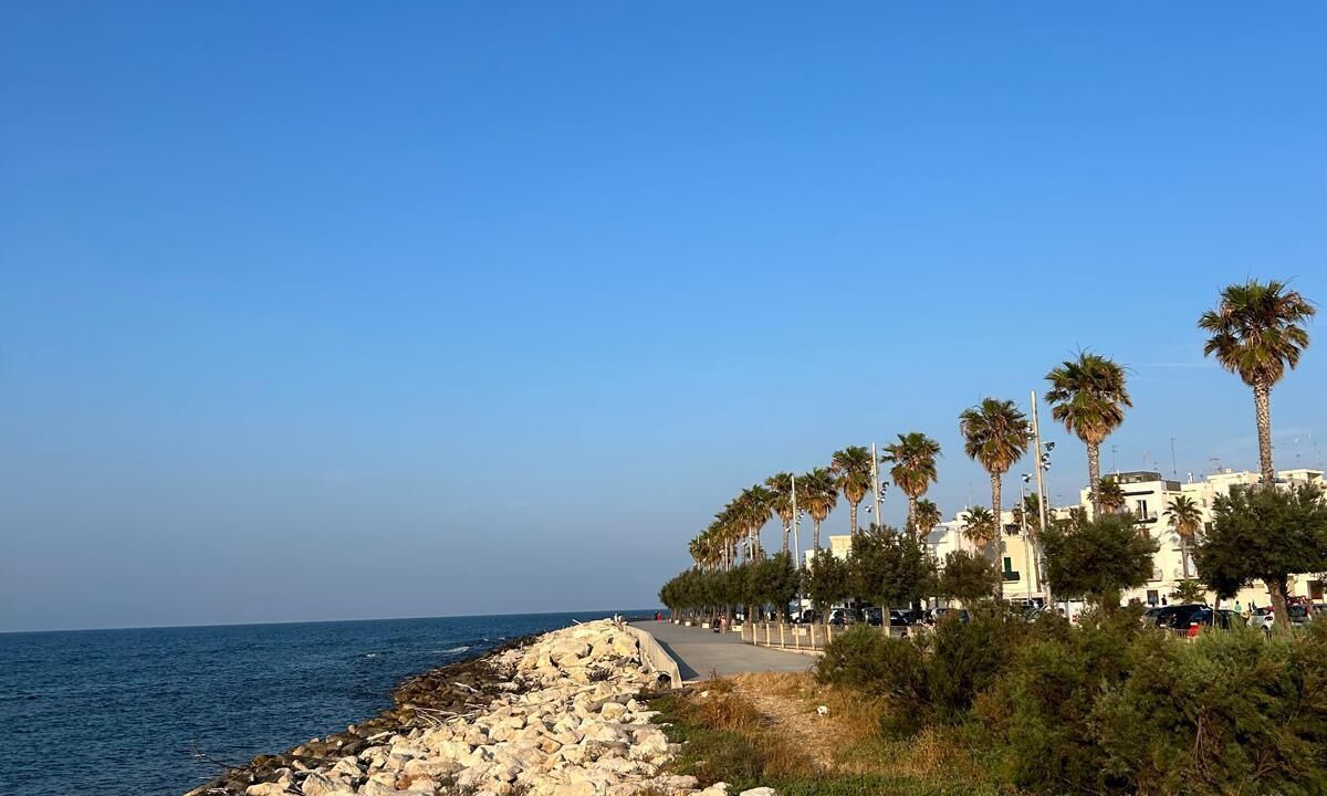 Photo of Others in Mola di Bari