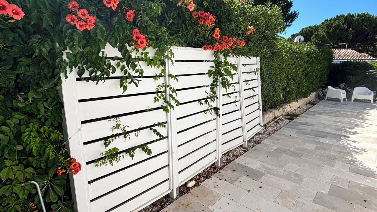 Photo of Outdoor in Rosa Marina