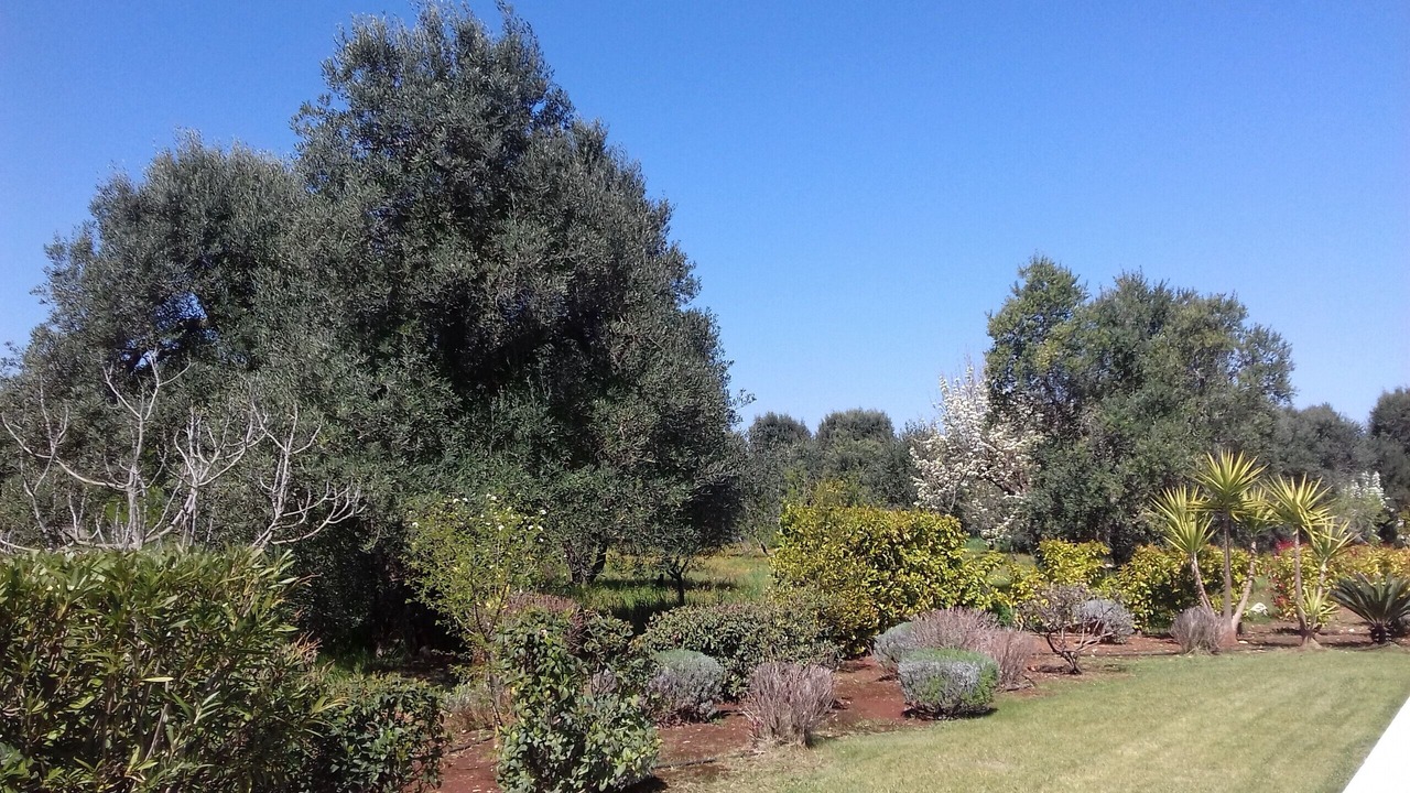 Photo of Others in Ceglie Messapica