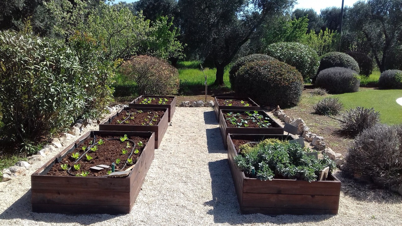 Photo of Others in Ceglie Messapica