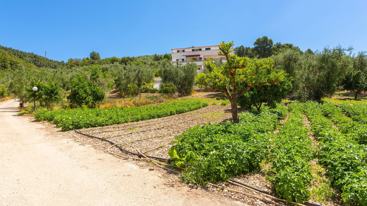 Photo of Others in Peschici