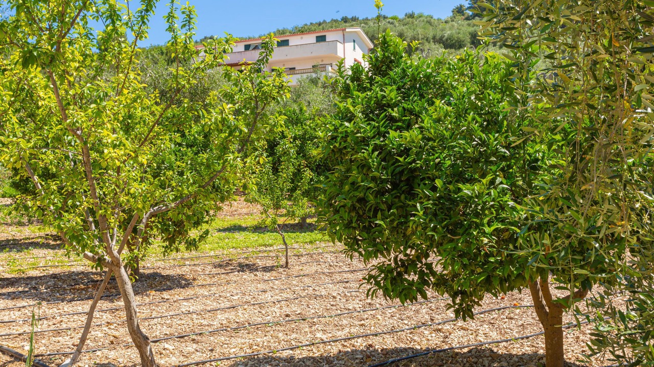 Photo of Others in Peschici