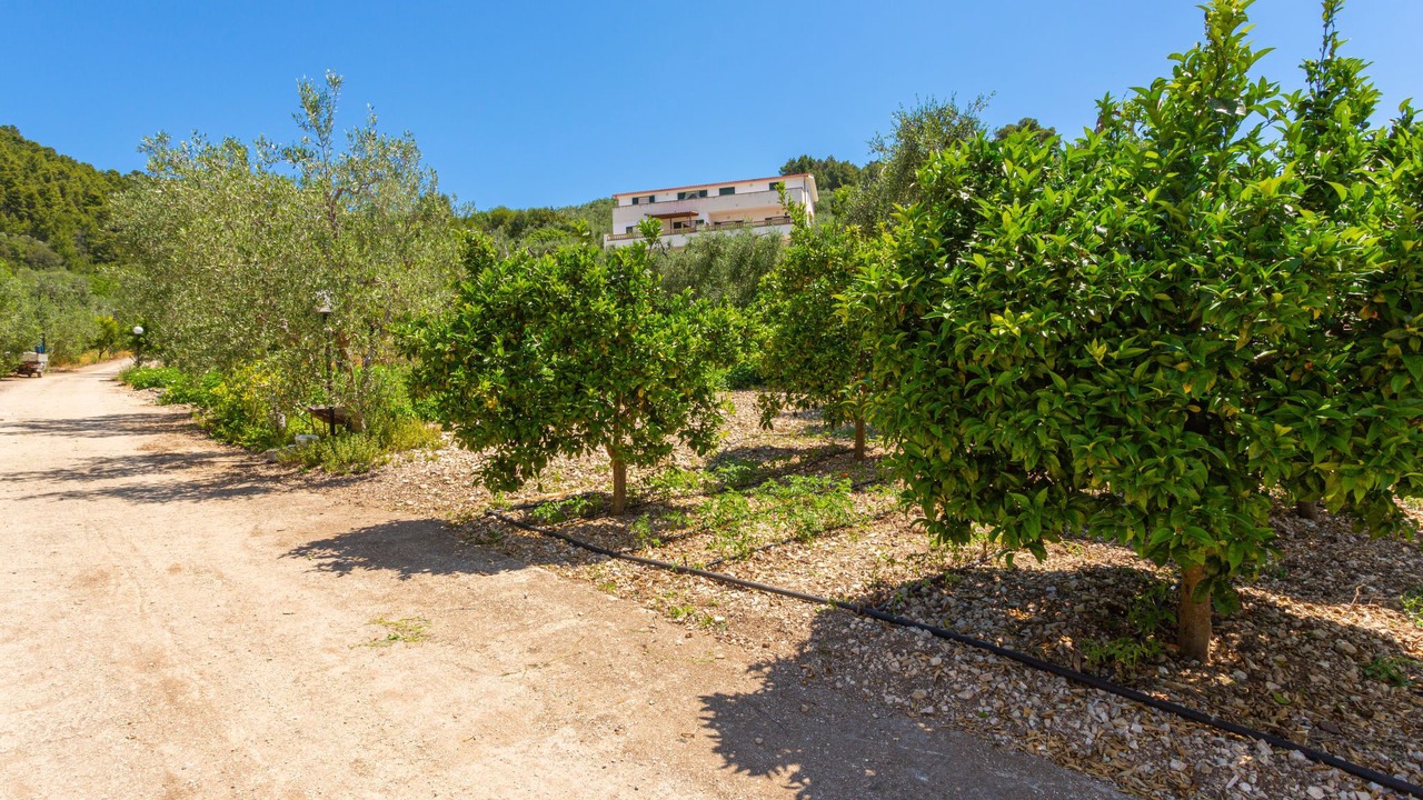 Photo of Others in Peschici
