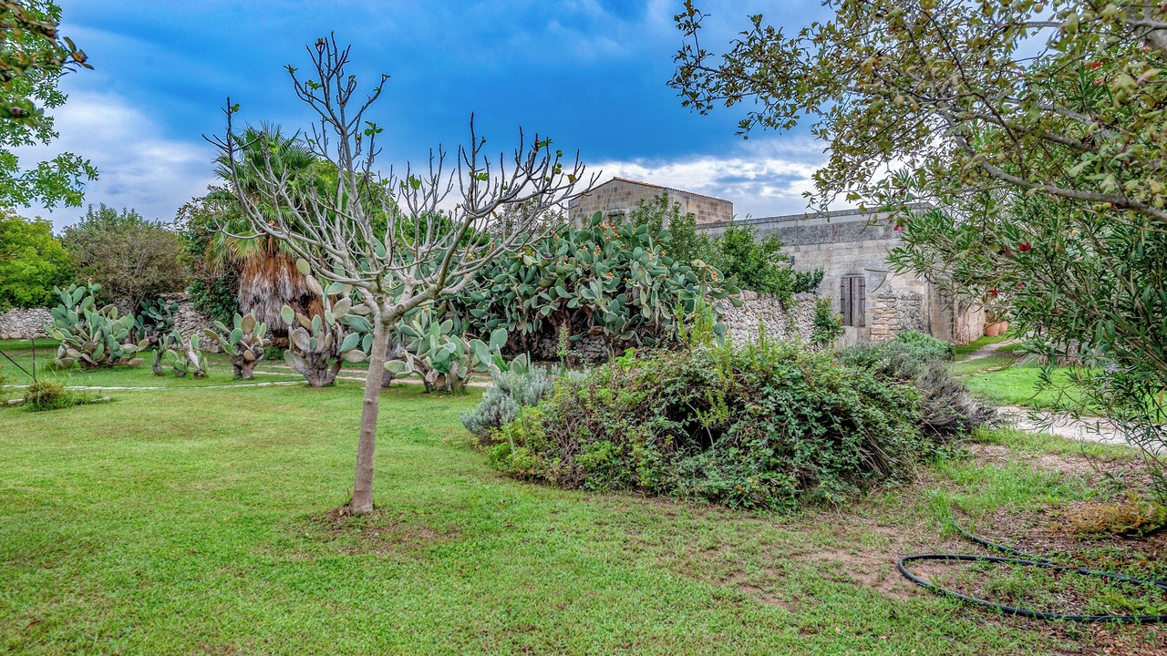 Photo of Outdoor in Vernole