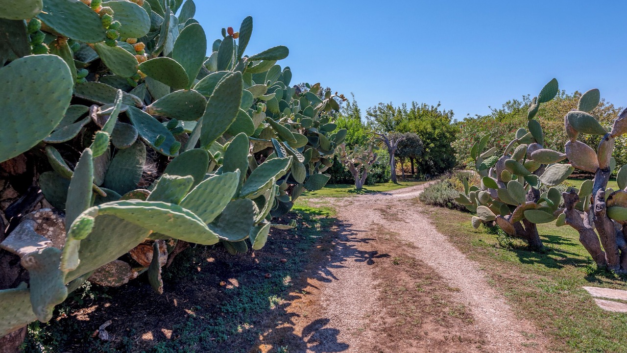 Photo of Outdoor in Vernole