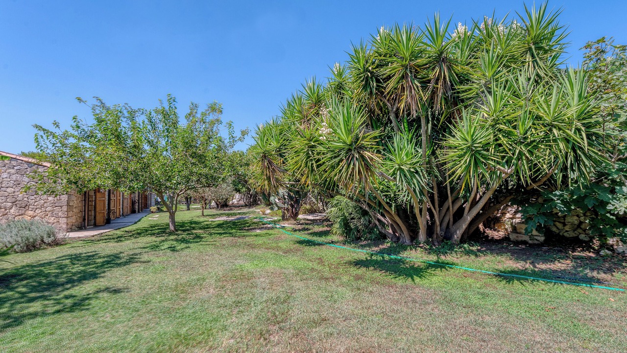 Photo of Outdoor in Vernole