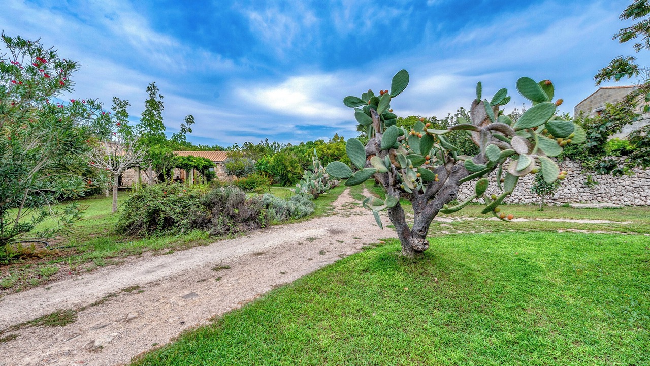 Photo of Outdoor in Vernole