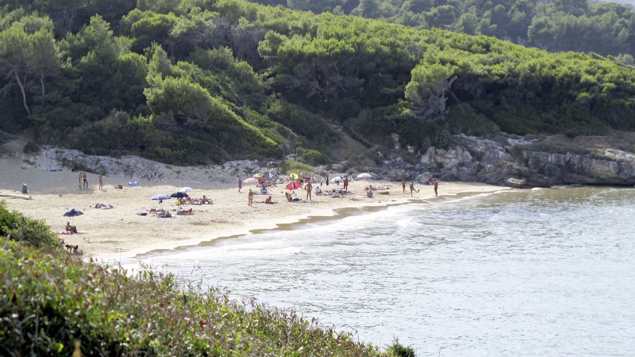 Photo of Others in Mandrione