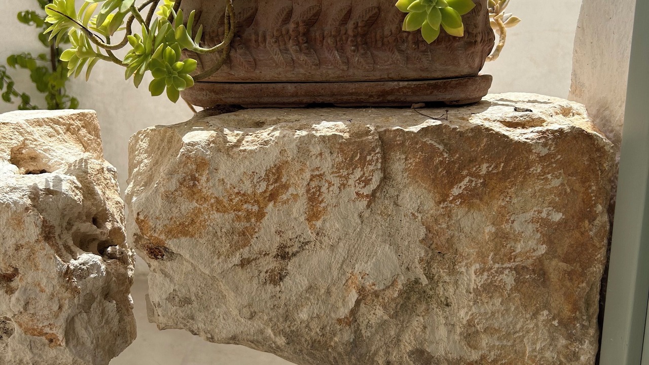 Photo of Outdoor in Alberobello