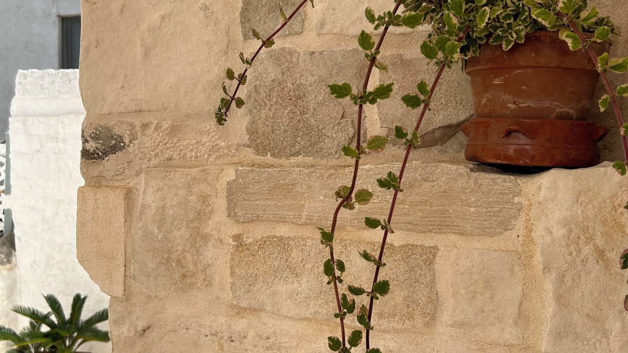 Photo of Outdoor in Alberobello