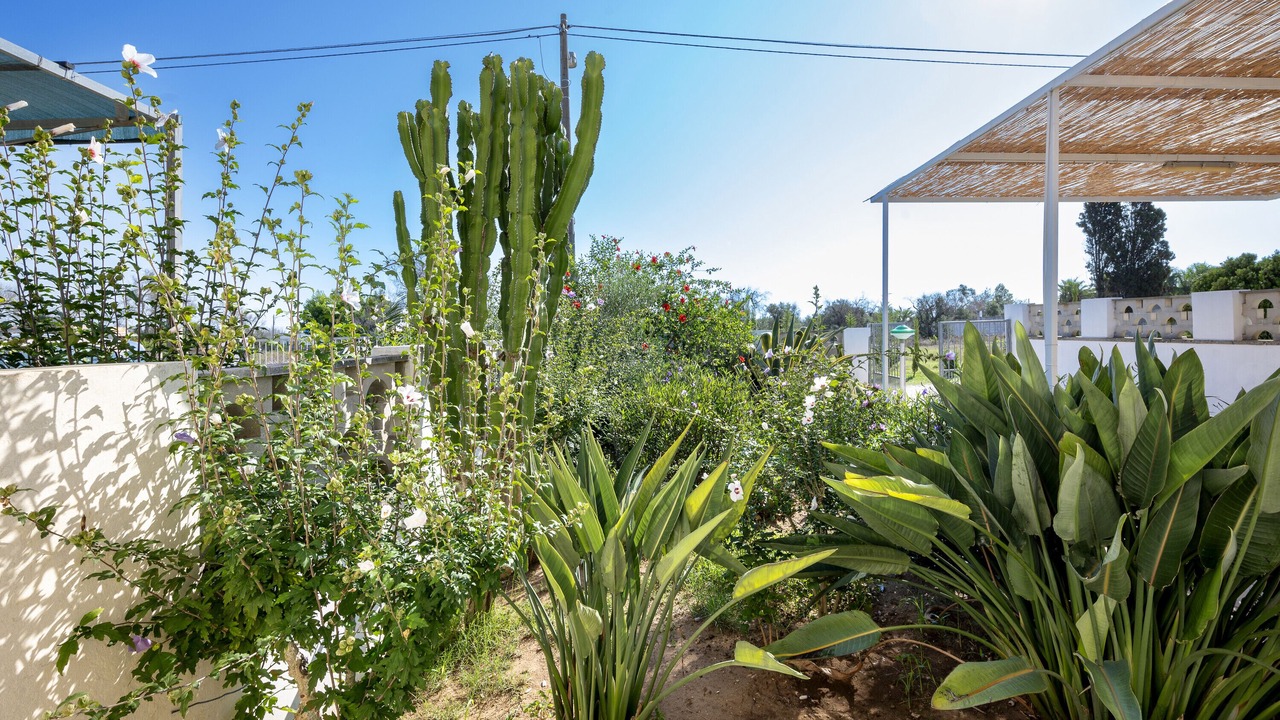 Photo of Outdoor in Roca Vecchia
