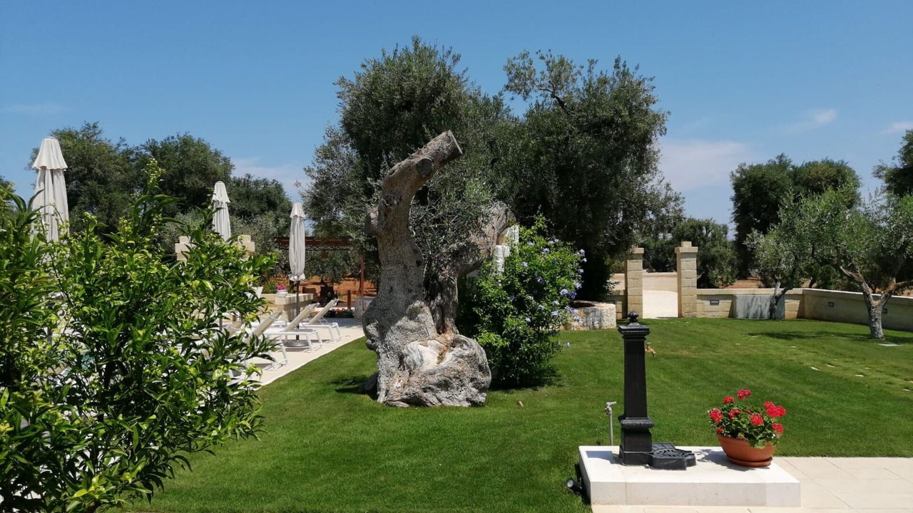 Photo of Outdoor in Ostuni
