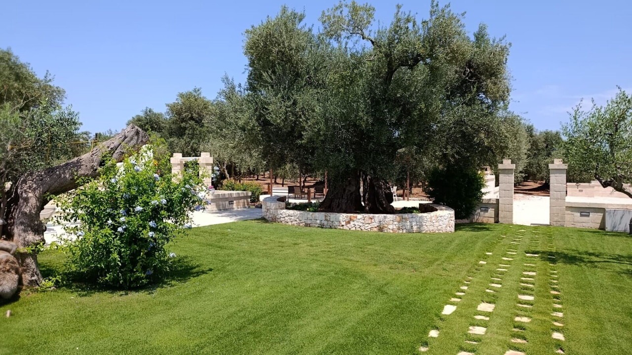 Photo of Outdoor in Ostuni
