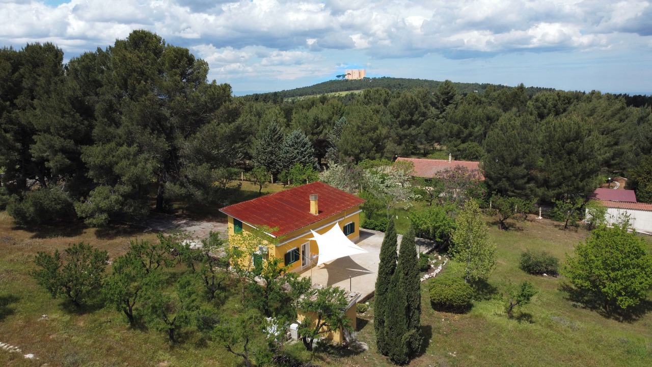 Photo of Outdoor in Montegrosso