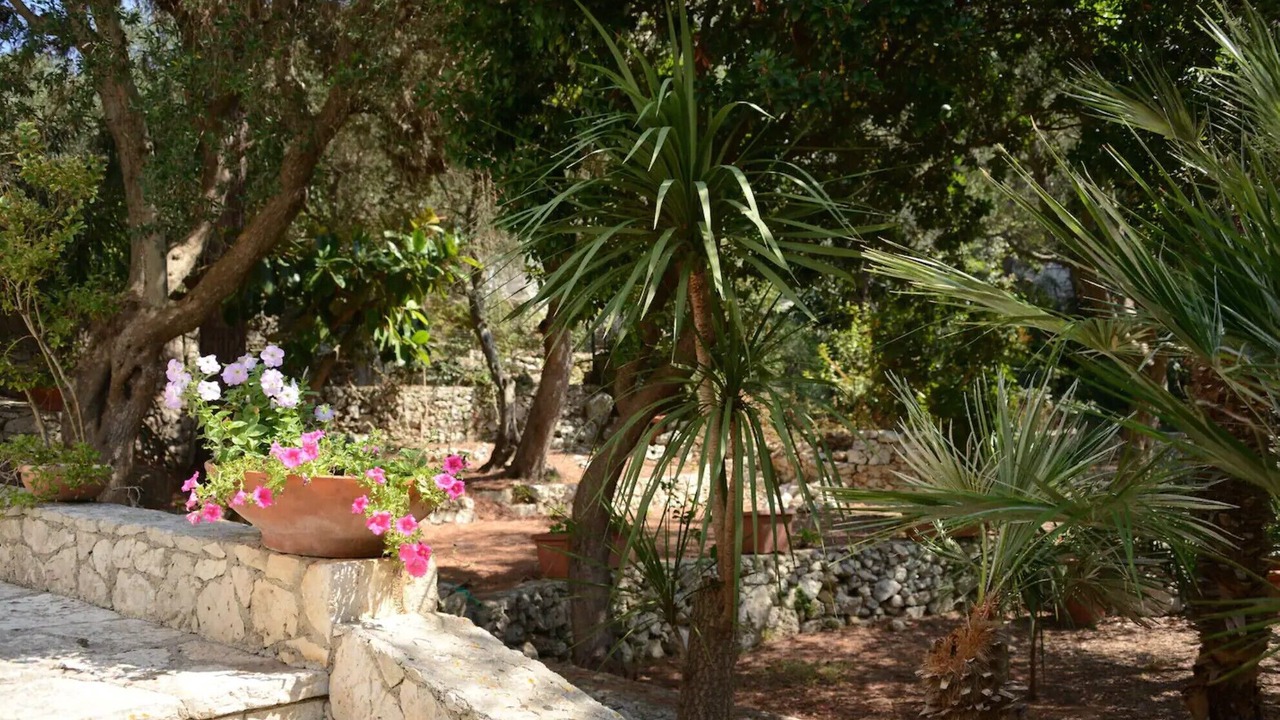 Photo of Outdoor in Santa Cesarea Terme