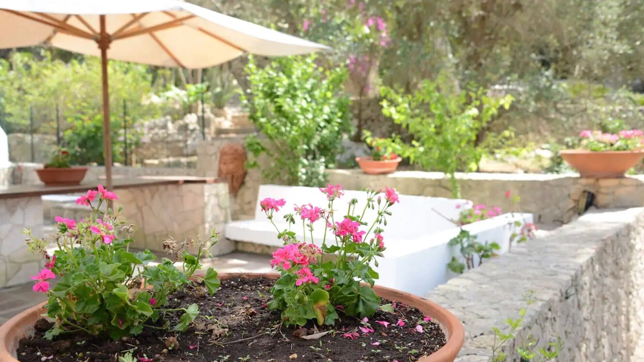 Photo of Outdoor in Santa Cesarea Terme
