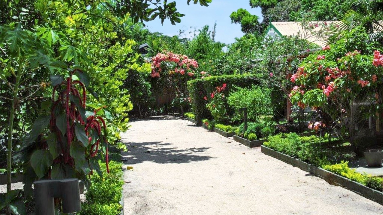Photo of Outdoor in Foulpointe