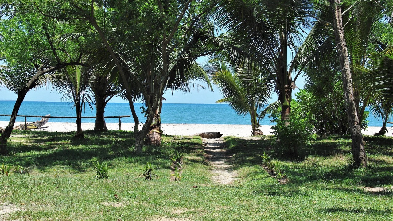 Photo of Others in Foulpointe