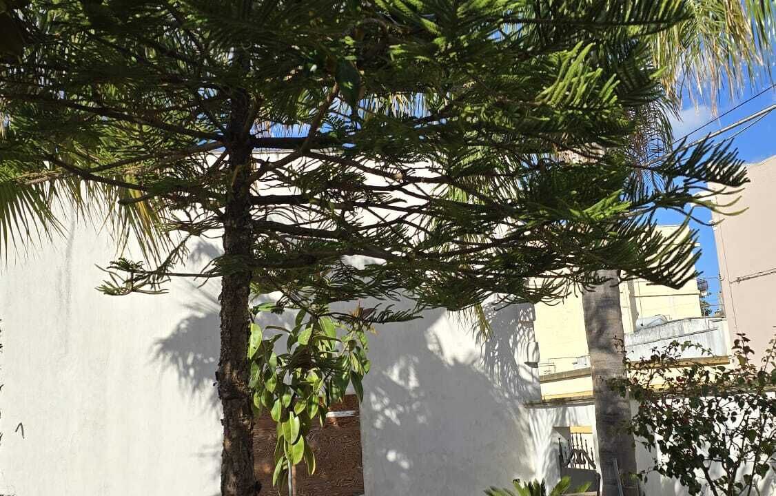 Photo of Outdoor in Acquarica del Capo