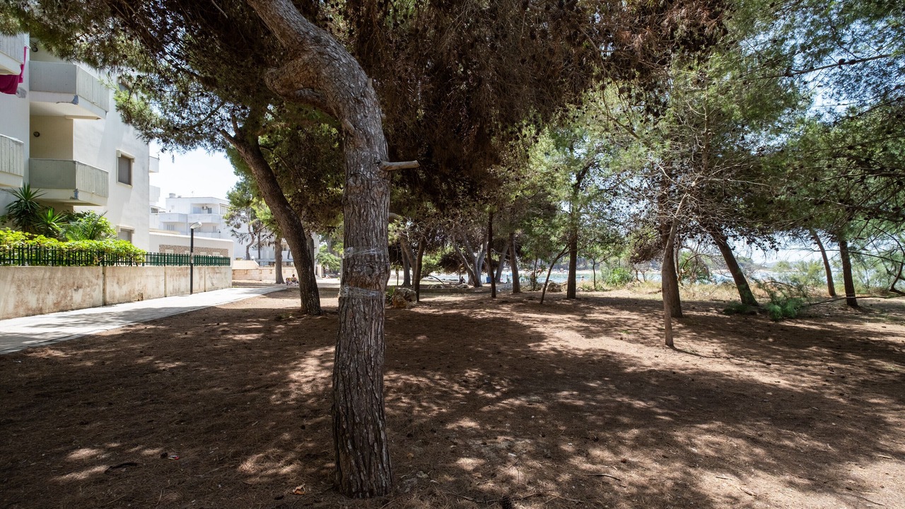 Photo of Outdoor in Rivabella