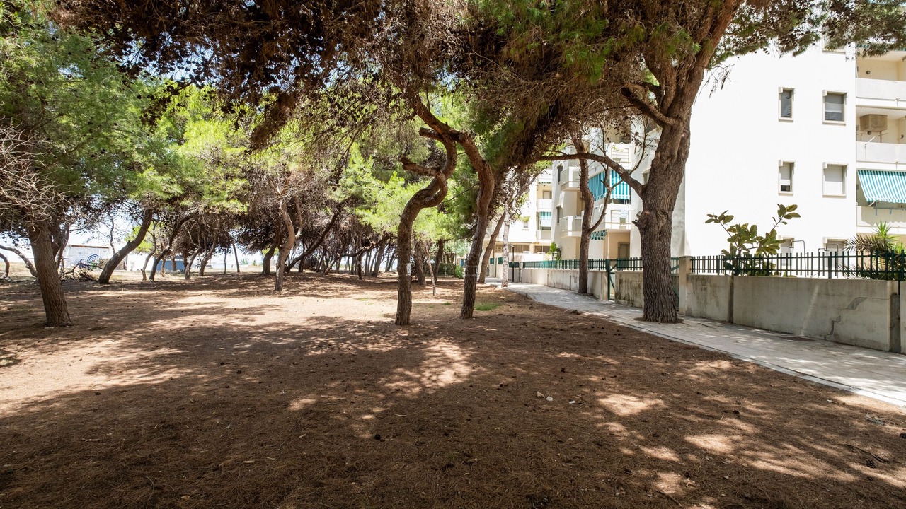 Photo of Outdoor in Rivabella