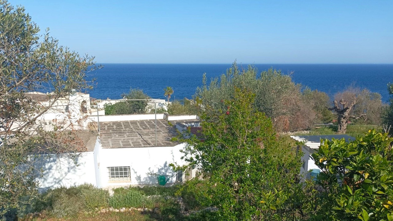 Photo of Others in Marina Serra
