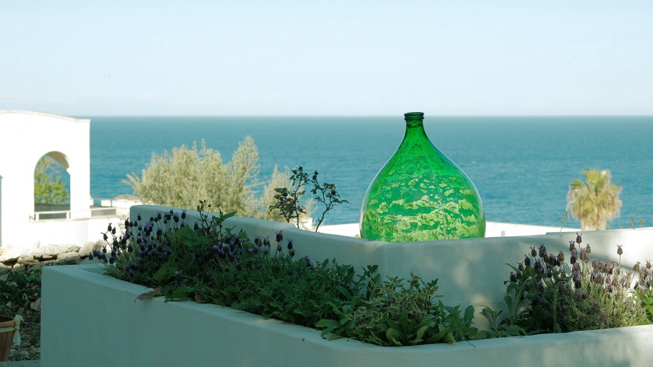 Photo of Others in Marina Serra