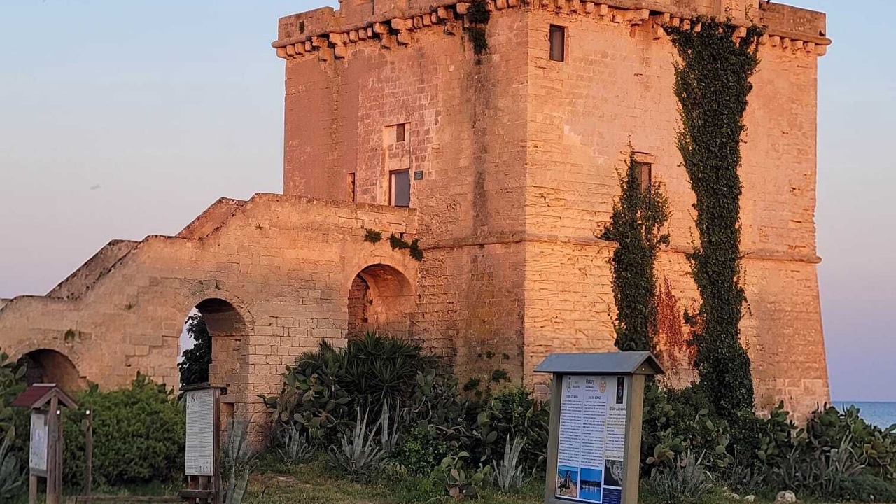 Photo of Others in Torre Colimena