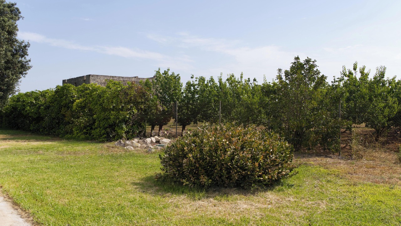 Photo of Outdoor in Mesagne