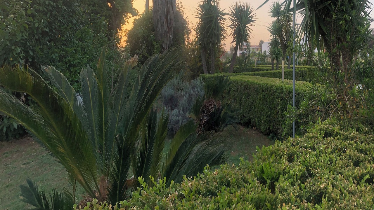 Photo of Outdoor in Specchia