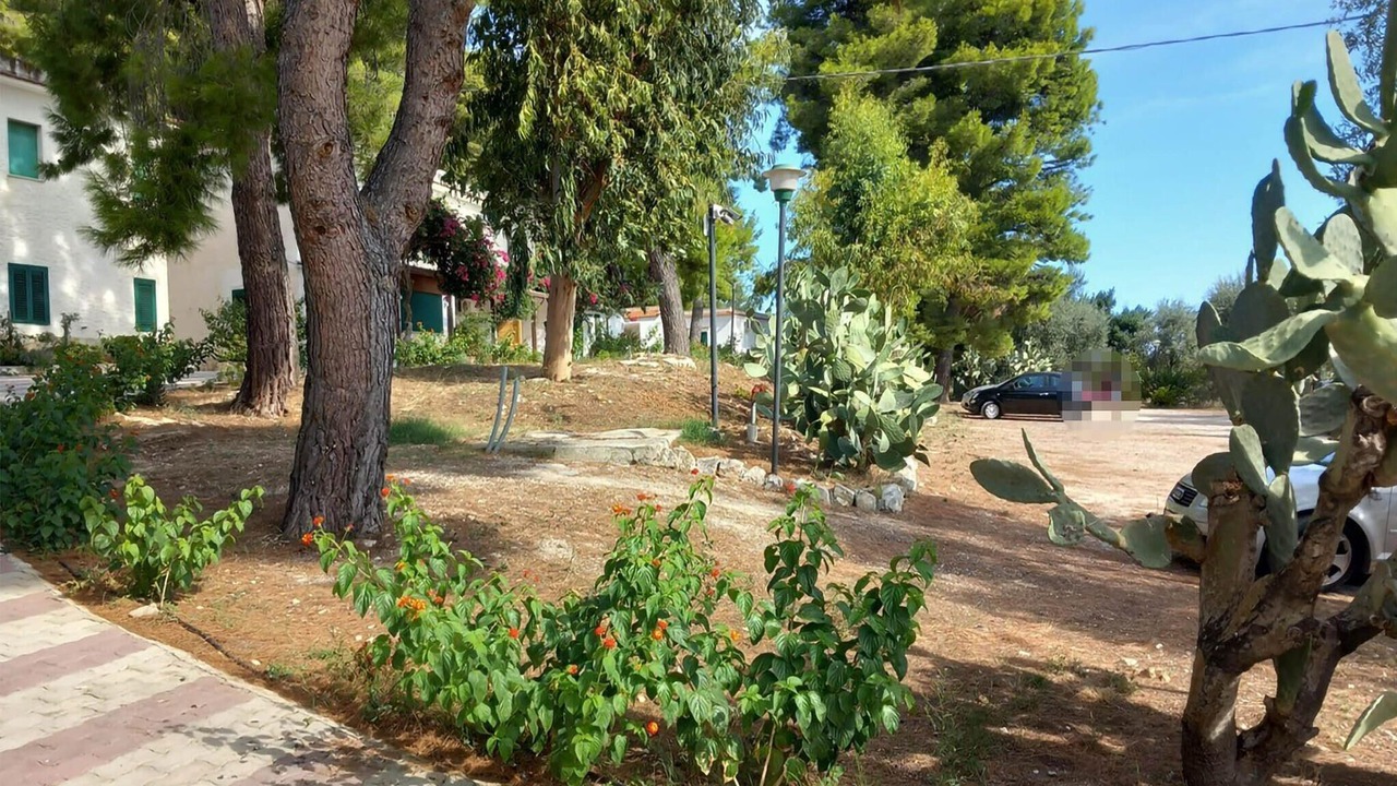 Photo of Others in Chiesiola