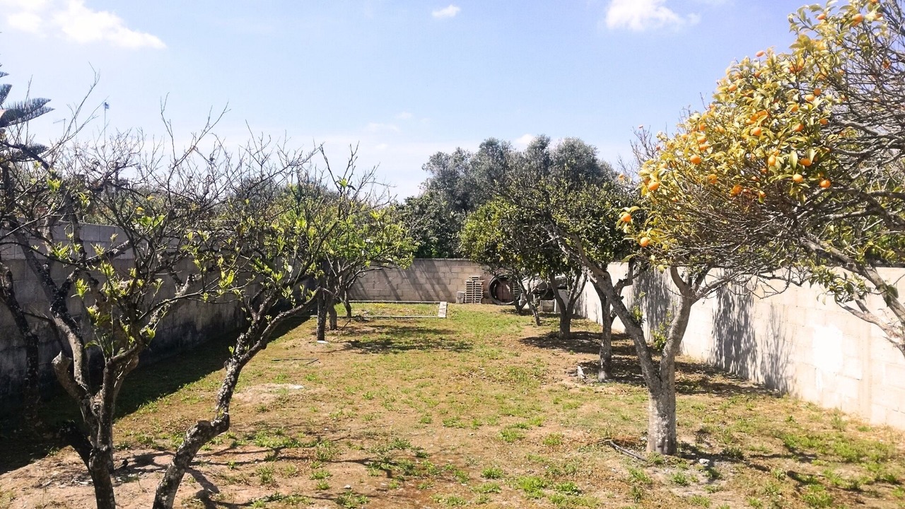 Photo of Outdoor in Melendugno