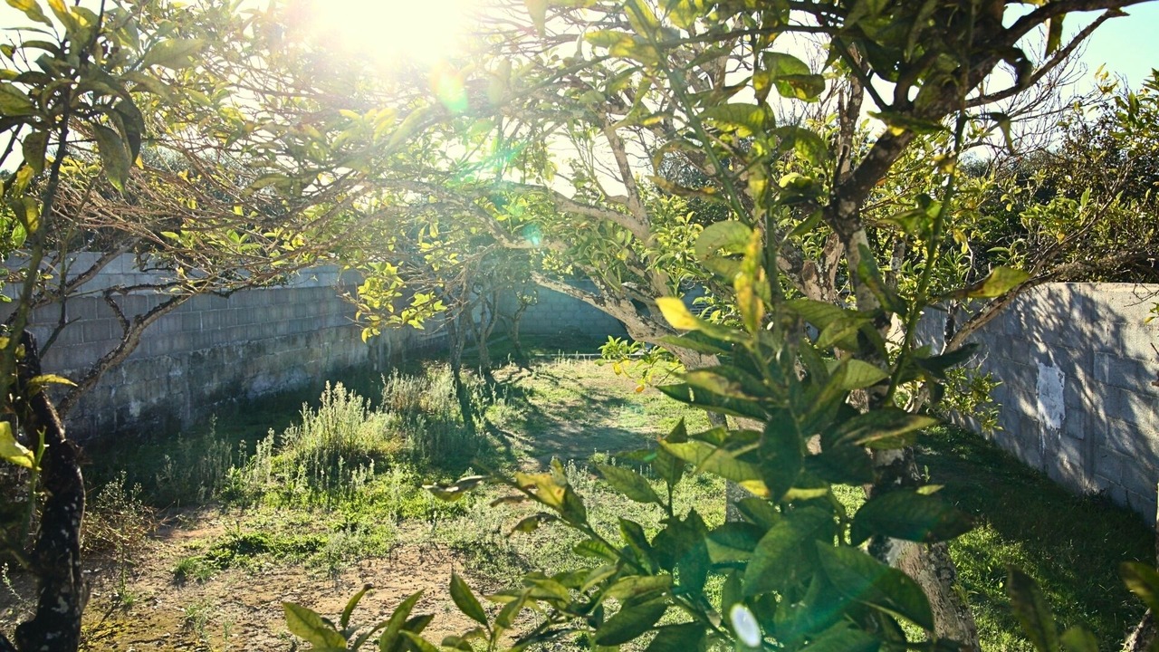 Photo of Outdoor in Melendugno